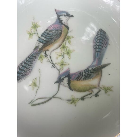 Vintage pair (2) 6” Chadwick Miller Plates Blue Jay Birds - Picture 3 of 5